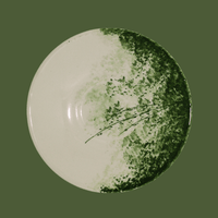 Vajilla 5 piezas | Bruma Verde
