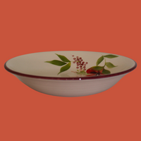 Vajilla 5 piezas Mug Sienna | Azalea