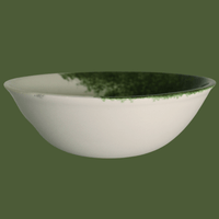 Vajilla 5 piezas | Bruma Verde