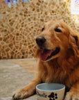 Tazón para mascotas Cerámicas Carmesí