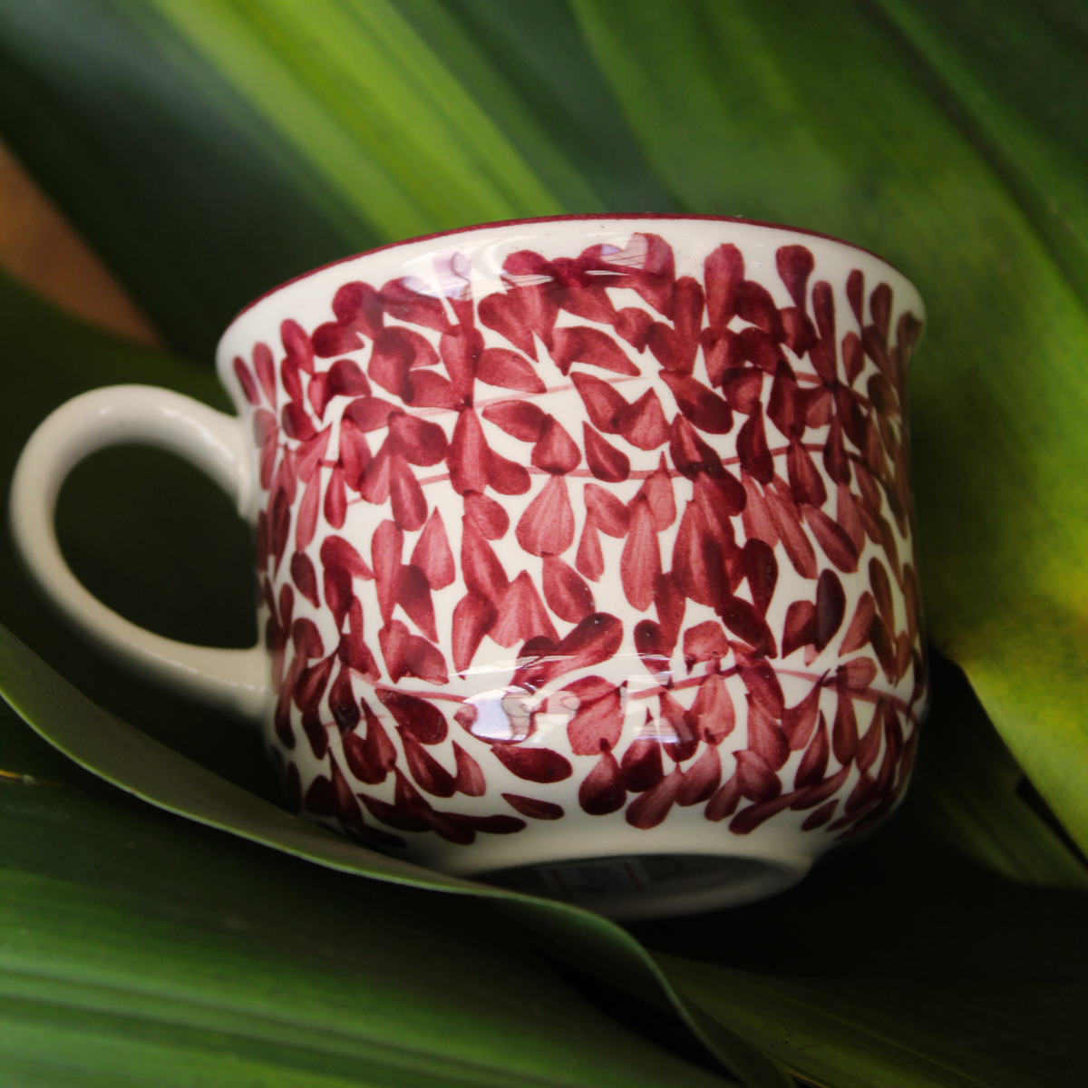 Juego de té | Olivo Vinotinto