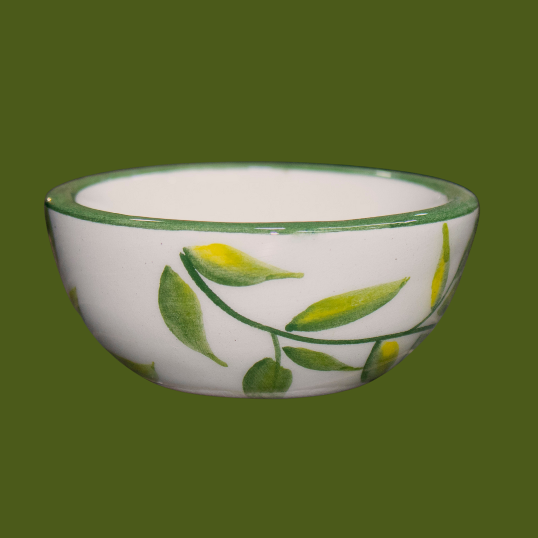 Salserita | Nido Verde
