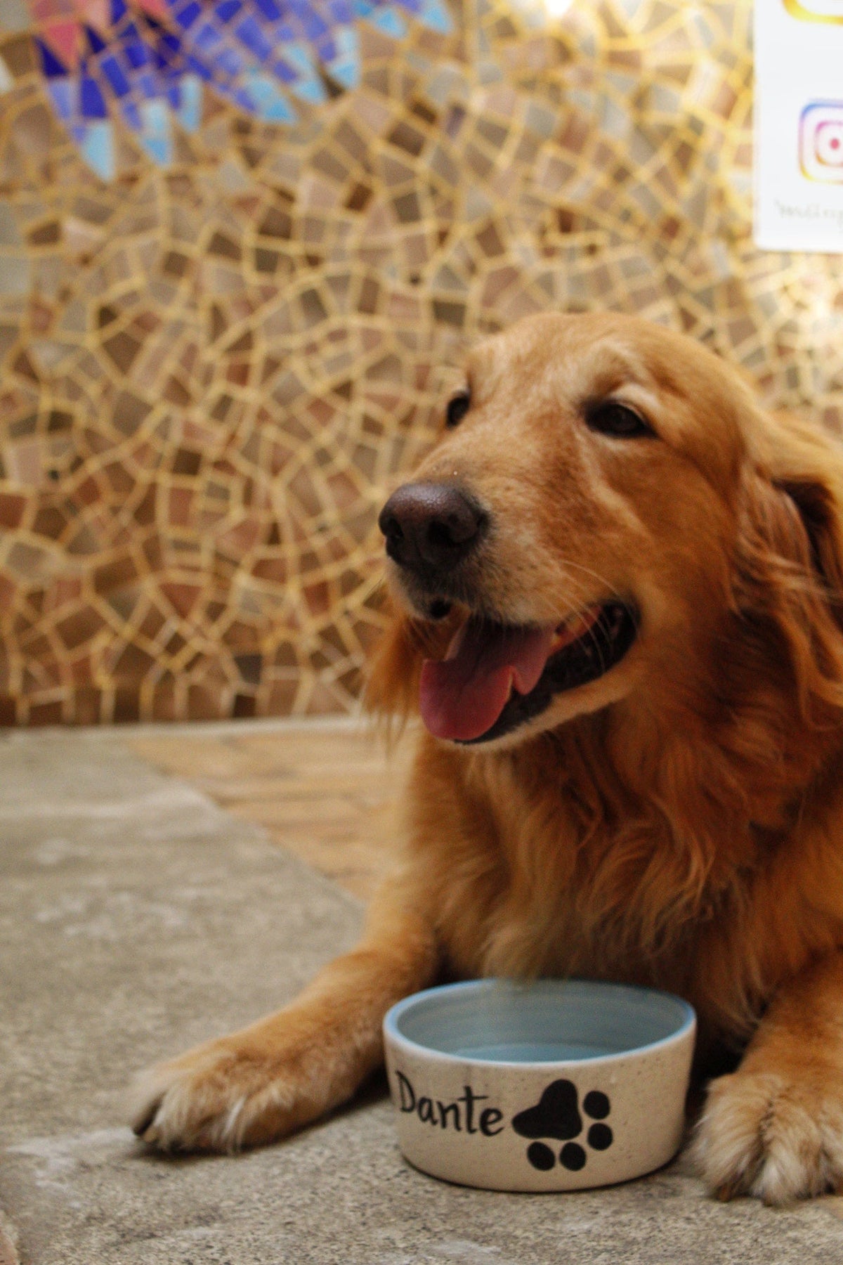 Tazón para mascotas Cerámicas Carmesí 
